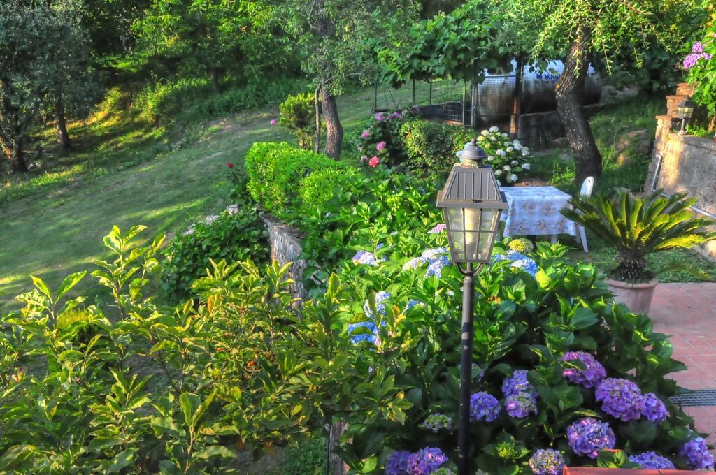 Villa Olivi Giampierone Екстер'єр фото